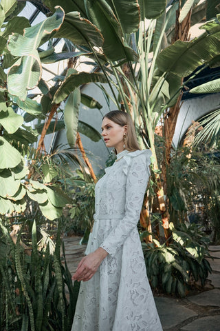 ROSA Dress